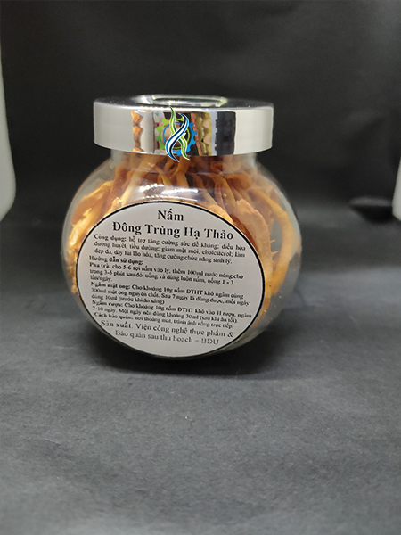 namdongtrunghathao 01